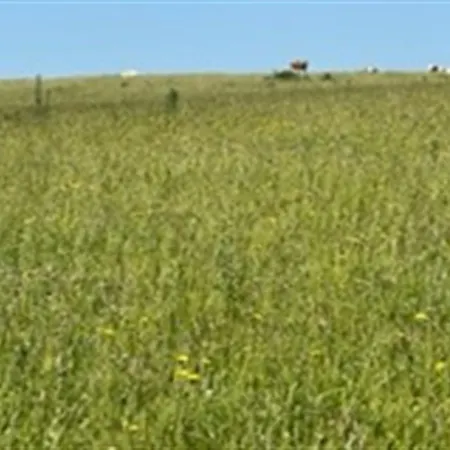 Ebbeline - 150m From The Sea By Interhome בית נופש Binderup Strand