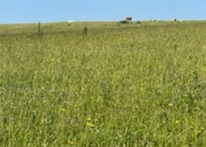 Ebbeline - 150m From The Sea By Interhome Dom wakacyjny Binderup Strand